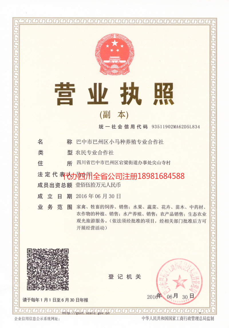 东方东方小马种养殖专业合作社